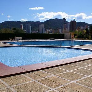 Apartamentos Paraiso 10